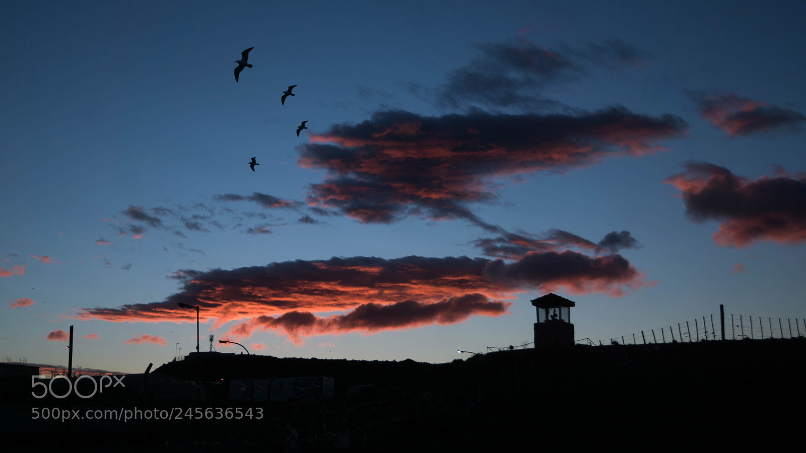 Sony ILCA-77M2 sample photo. Sunset caletense photography