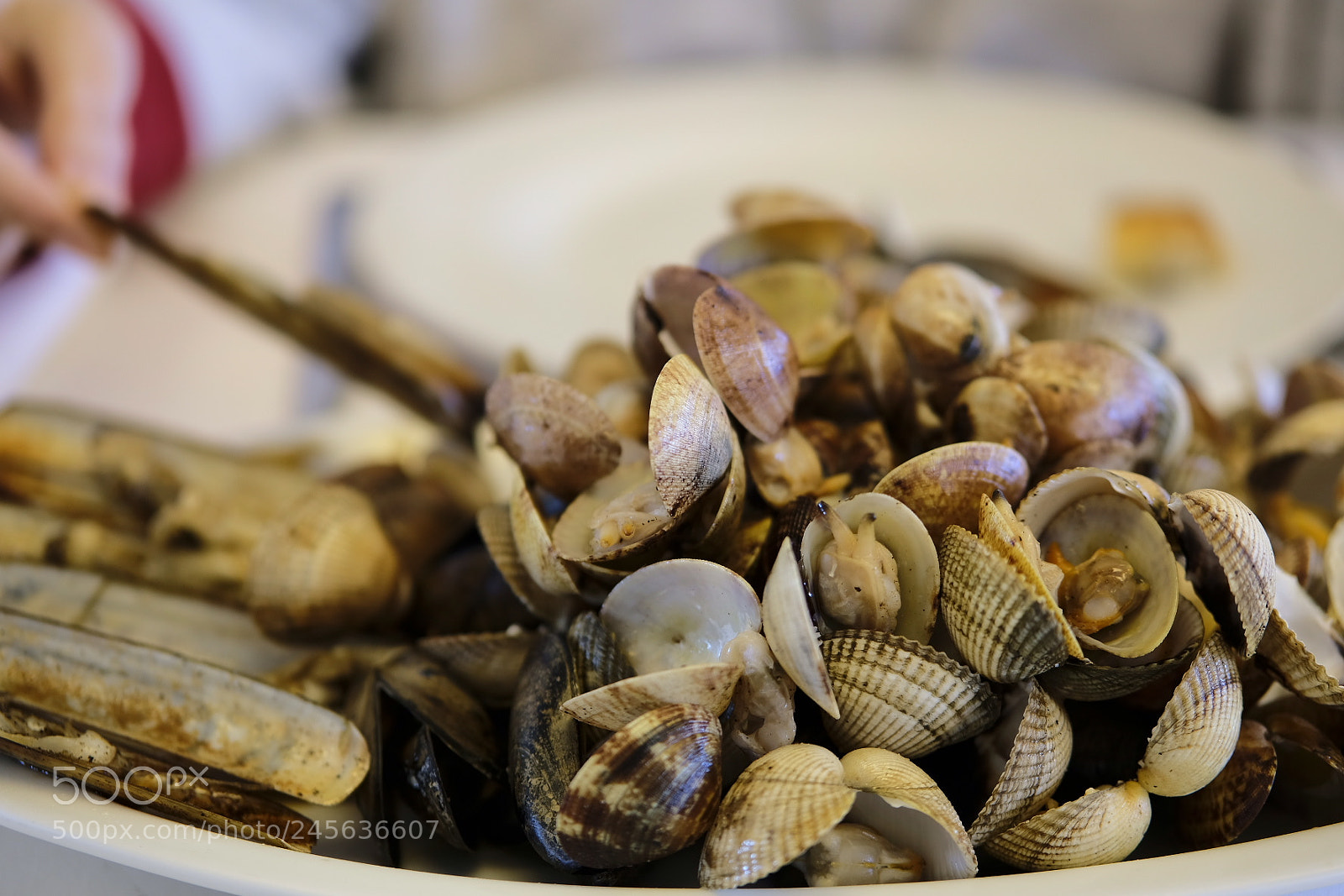 Fujifilm X-T20 sample photo. Graellada palamos photography