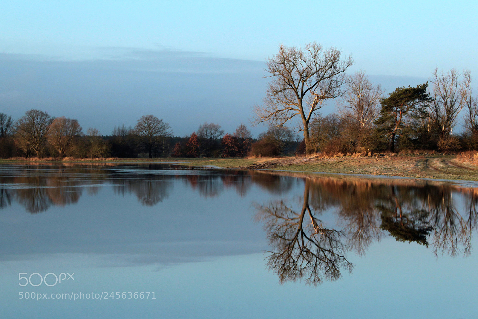 Canon EOS-1D Mark IV sample photo. Untitled photography