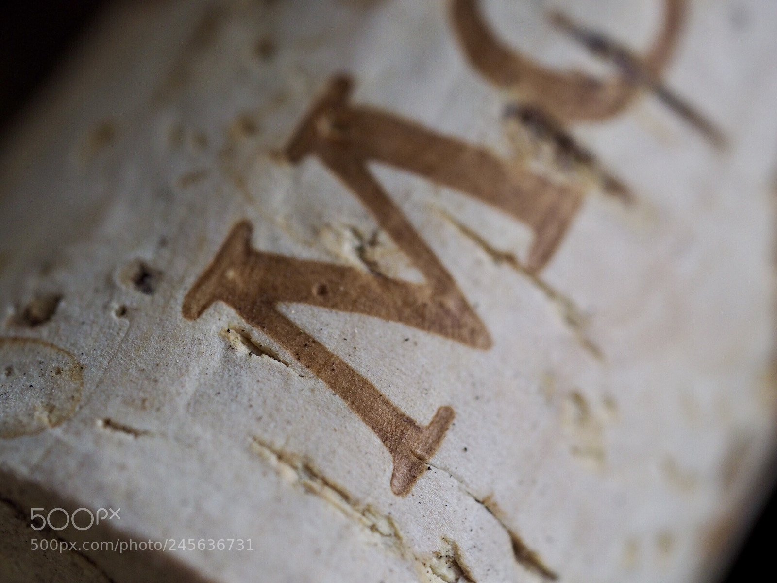 Olympus OM-D E-M10 II sample photo. Wine cork photography