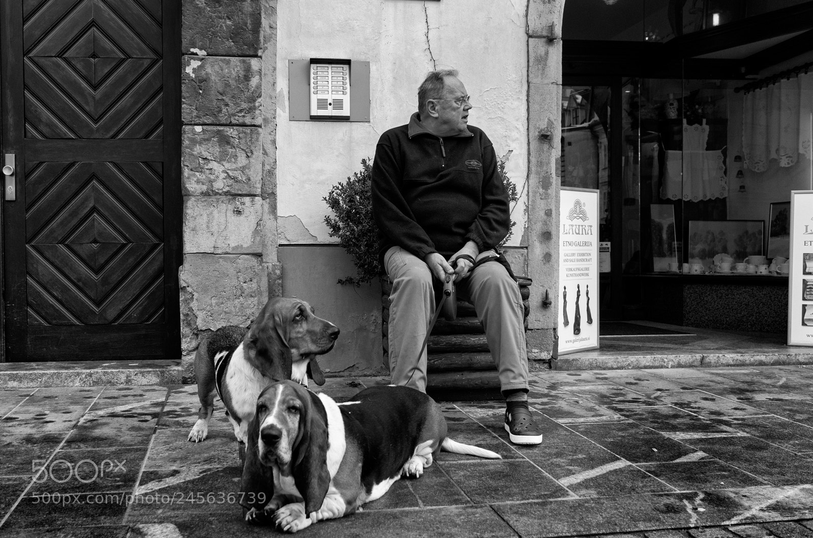 Pentax K-5 II sample photo. Waiting photography