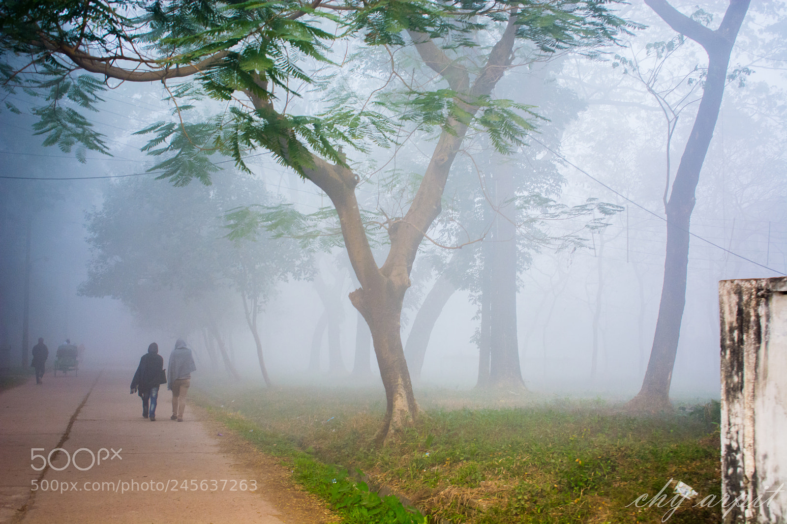 Nikon D5200 sample photo. Beautiful bangladesh photography