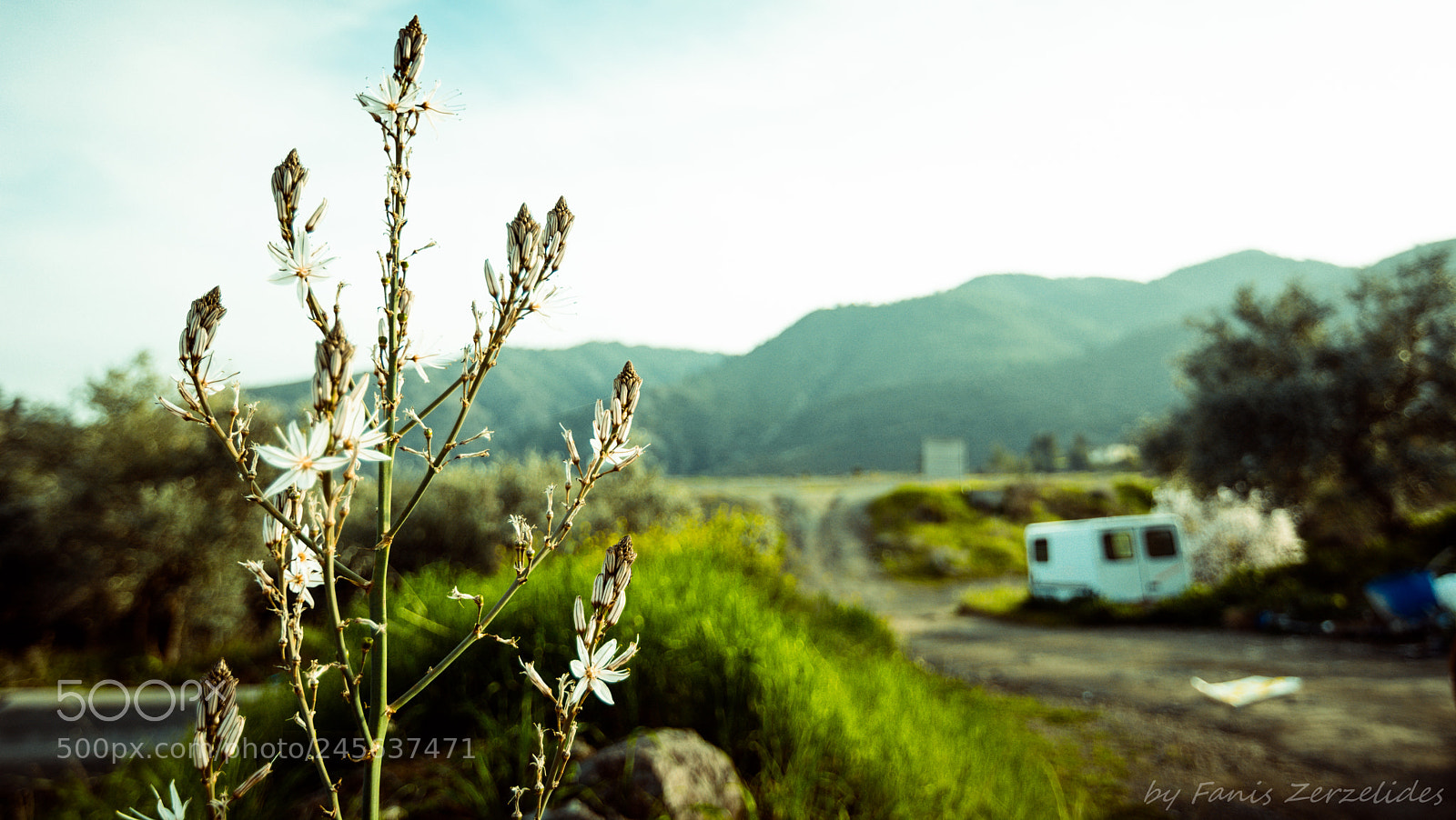 Nikon D5200 sample photo. Just let me be photography