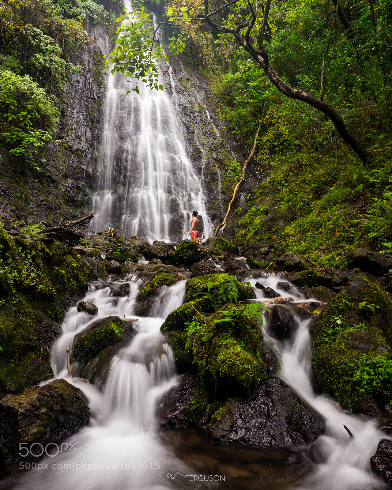 Sony a7R III sample photo. Waterfalls are a magical photography