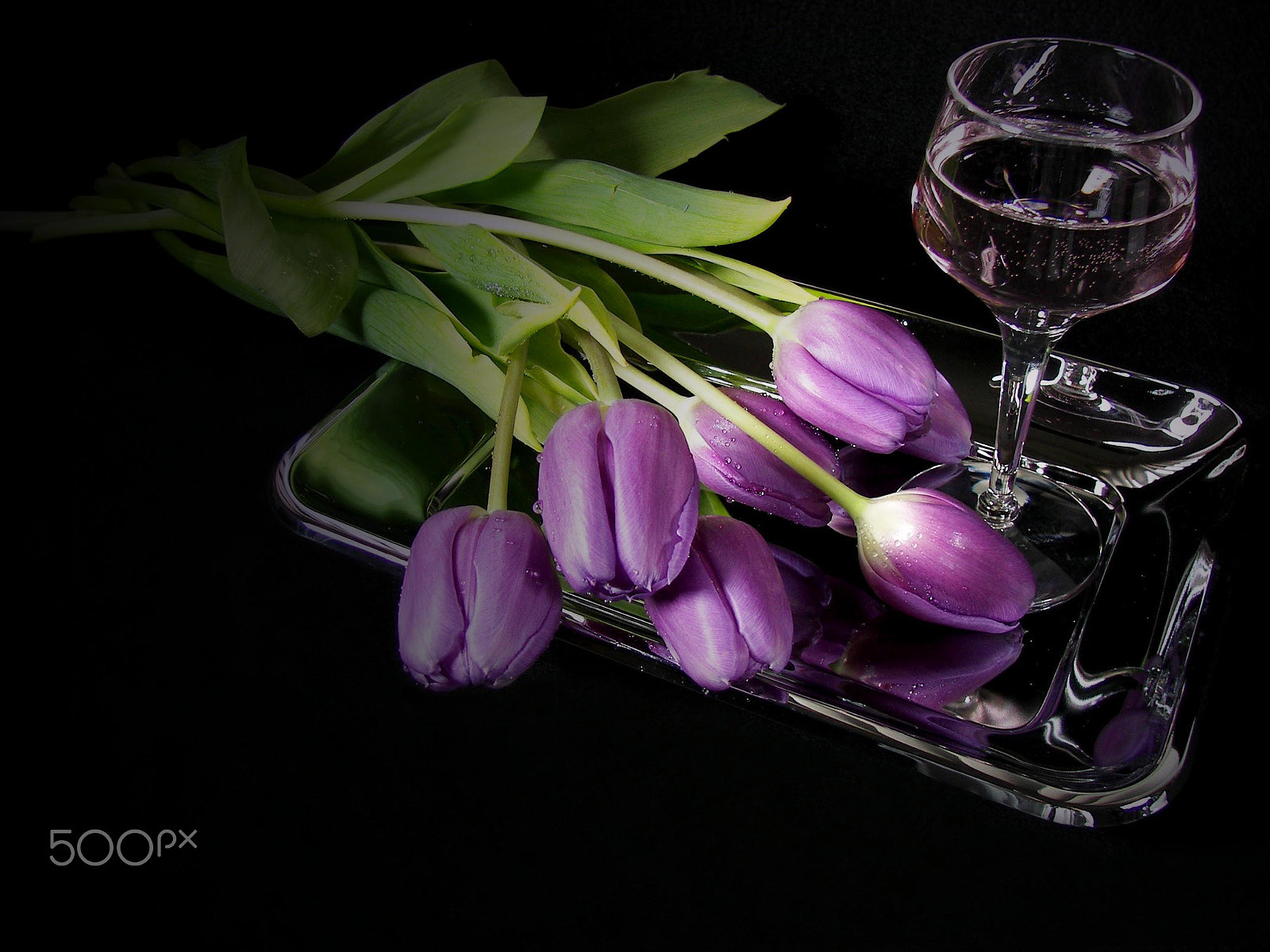 Kodak P850 ZOOM DIGITAL CAMERA sample photo. Purple tulips and wine photography