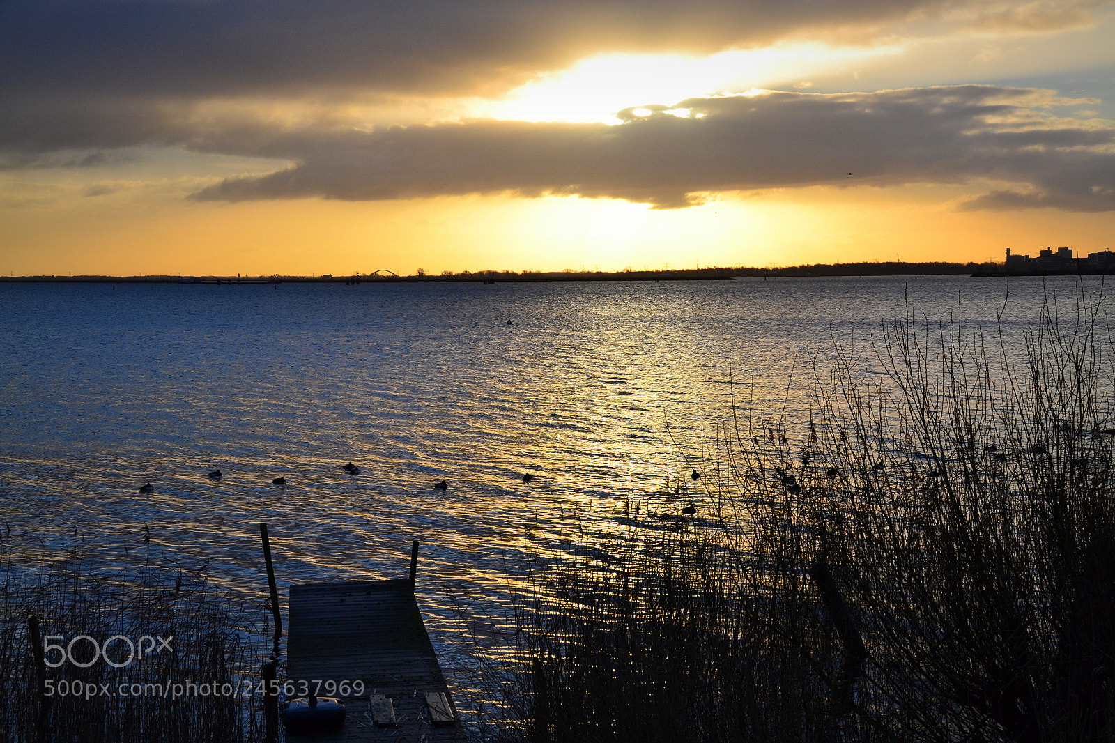 Nikon D3100 sample photo. Le c ur a photography