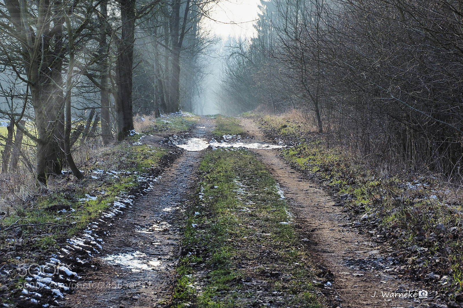 Olympus OM-D E-M10 II sample photo. Winter walk photography