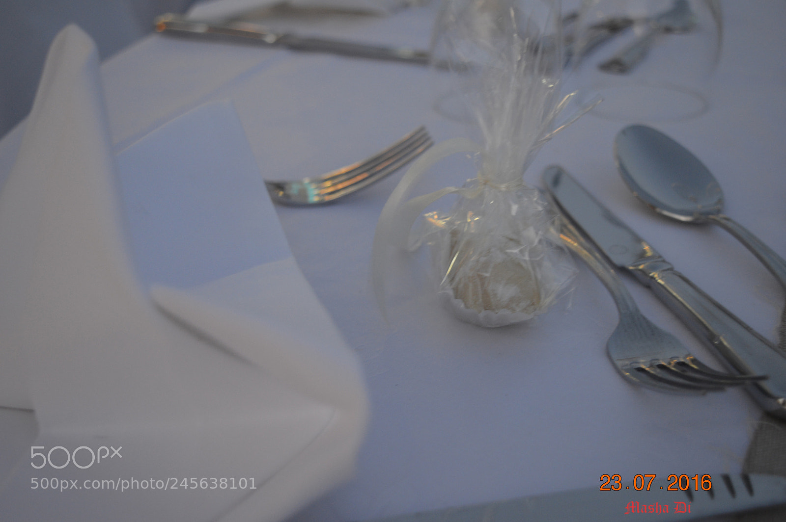 Nikon D3200 sample photo. пав photography