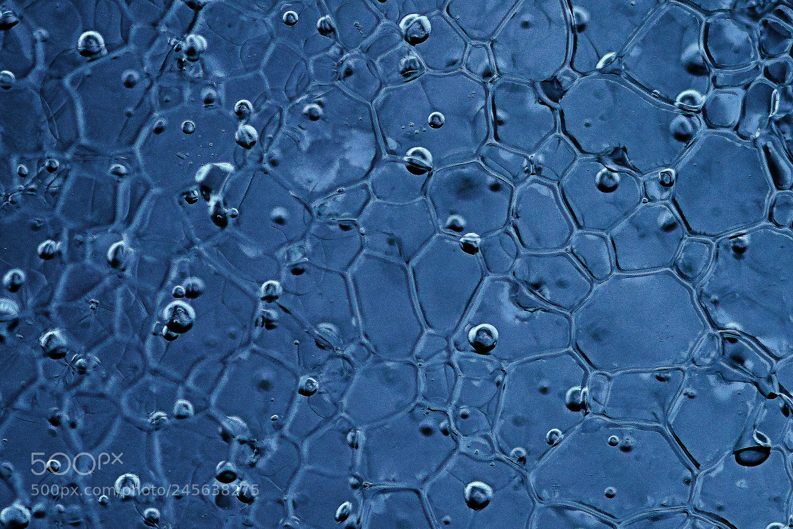Sony a7R II sample photo. Macro of an ice photography