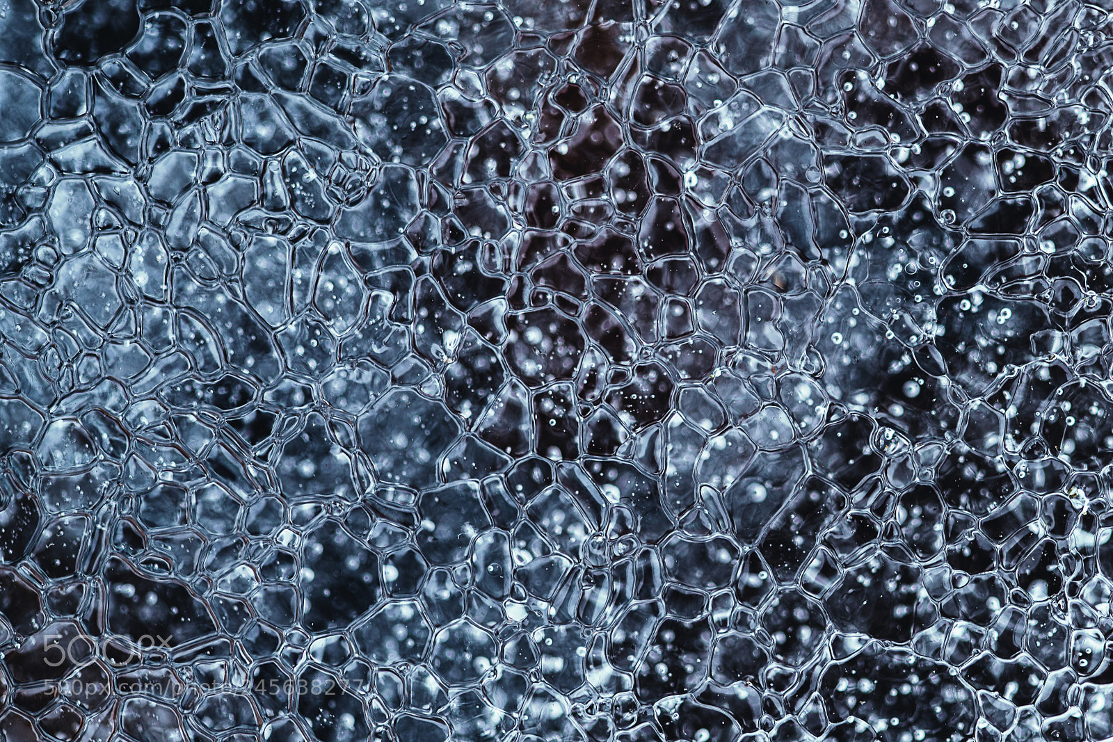 Sony a7R II sample photo. Macro of an ice photography