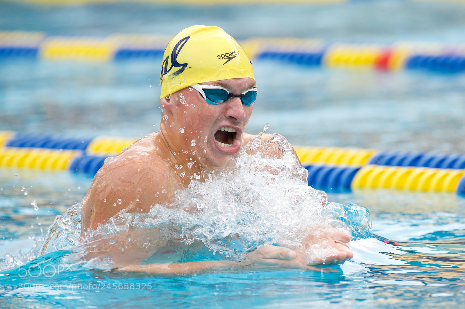 Nikon D4S sample photo. California breaststroke photography