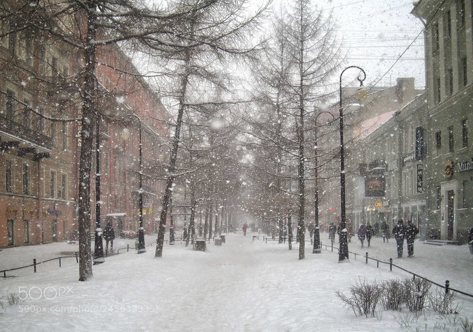 Olympus OM-D E-M5 sample photo. Snowing photography