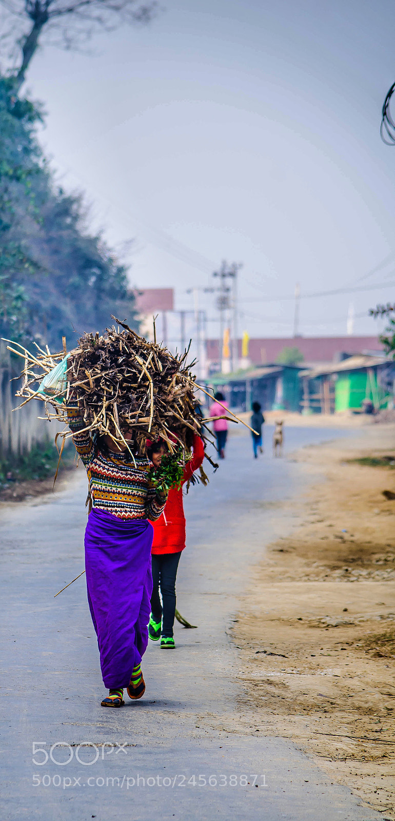 Nikon D5100 sample photo. The walk photography