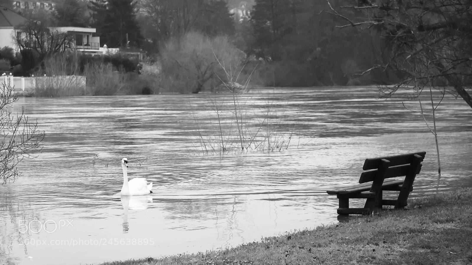 Canon EOS 760D (EOS Rebel T6s / EOS 8000D) sample photo. Bench on water photography
