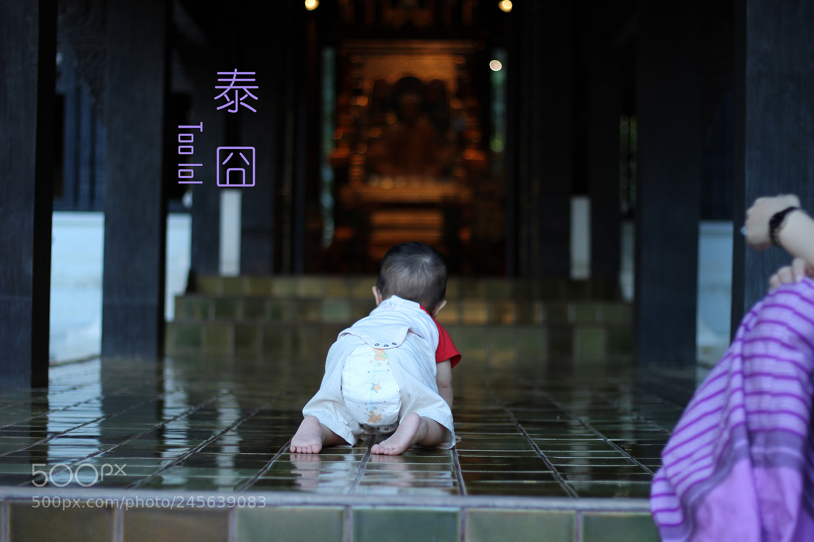 Canon EOS 600D (Rebel EOS T3i / EOS Kiss X5) sample photo. Cult photography