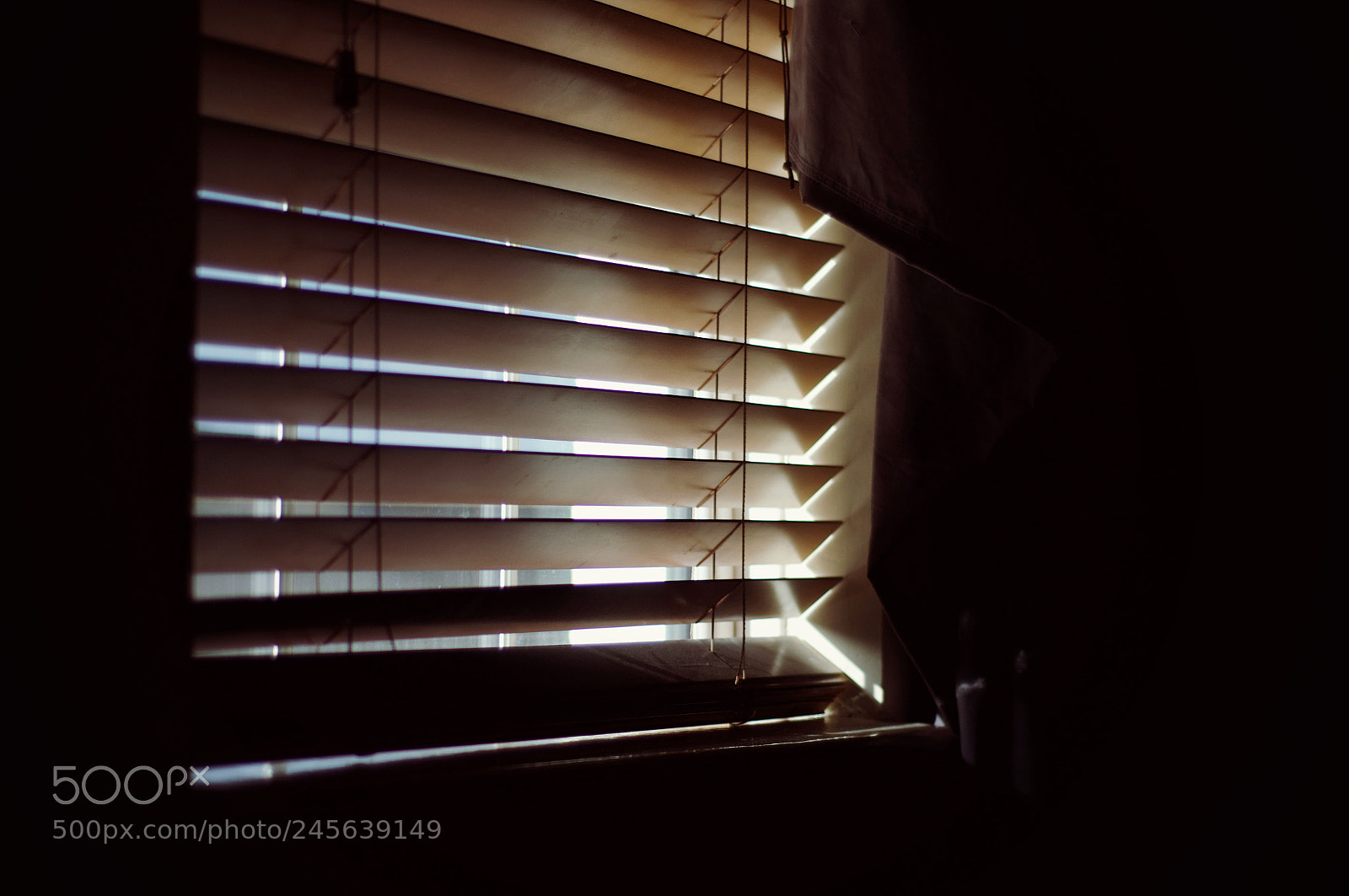 Nikon D90 sample photo. Sunshine photography