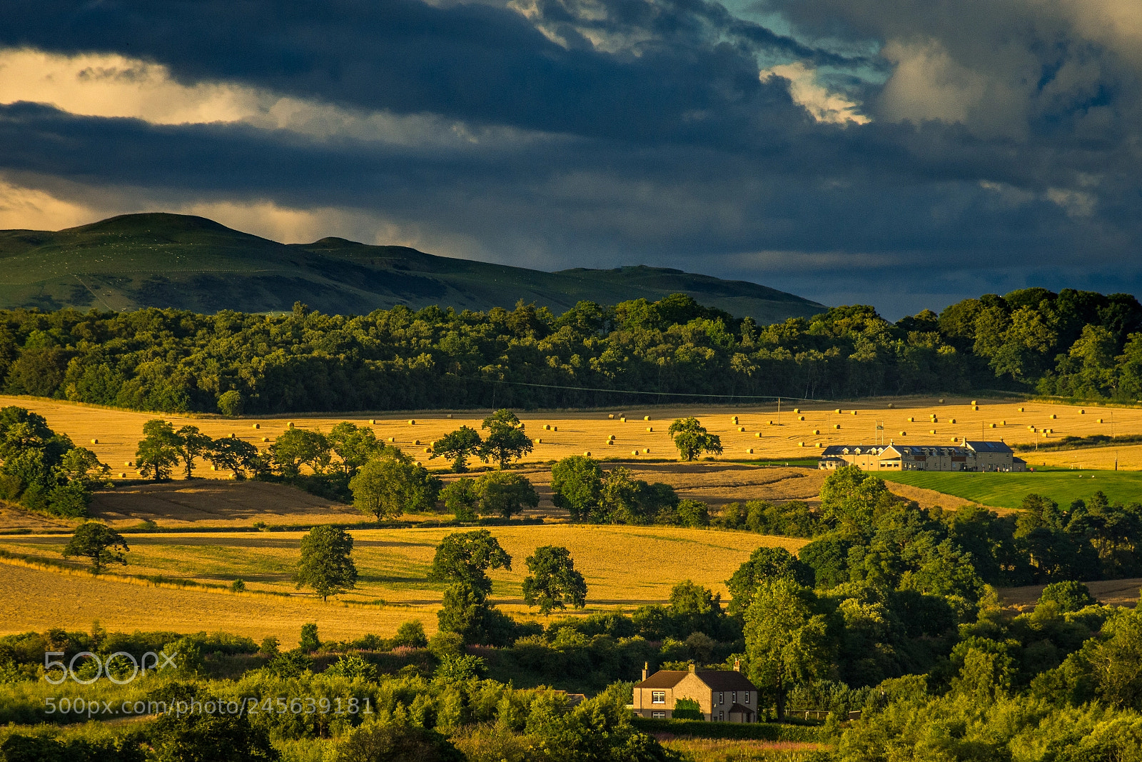 Nikon D7200 sample photo. Blairhall photography