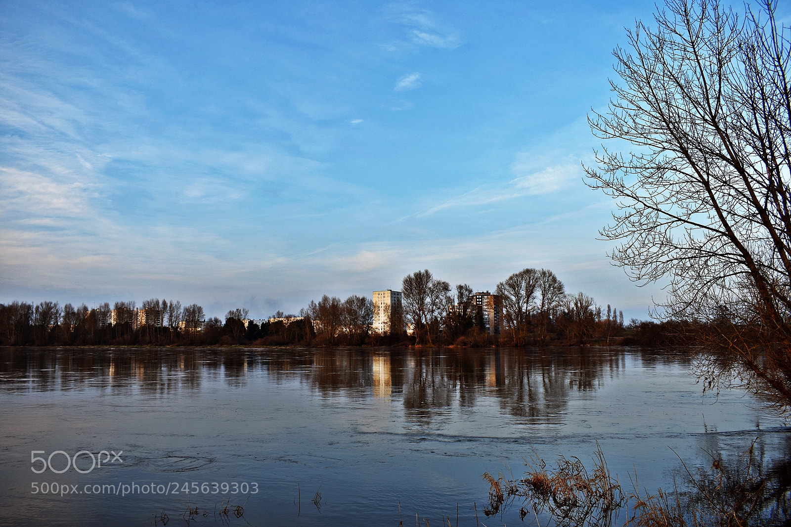 Nikon D3400 sample photo. Nature and city photography