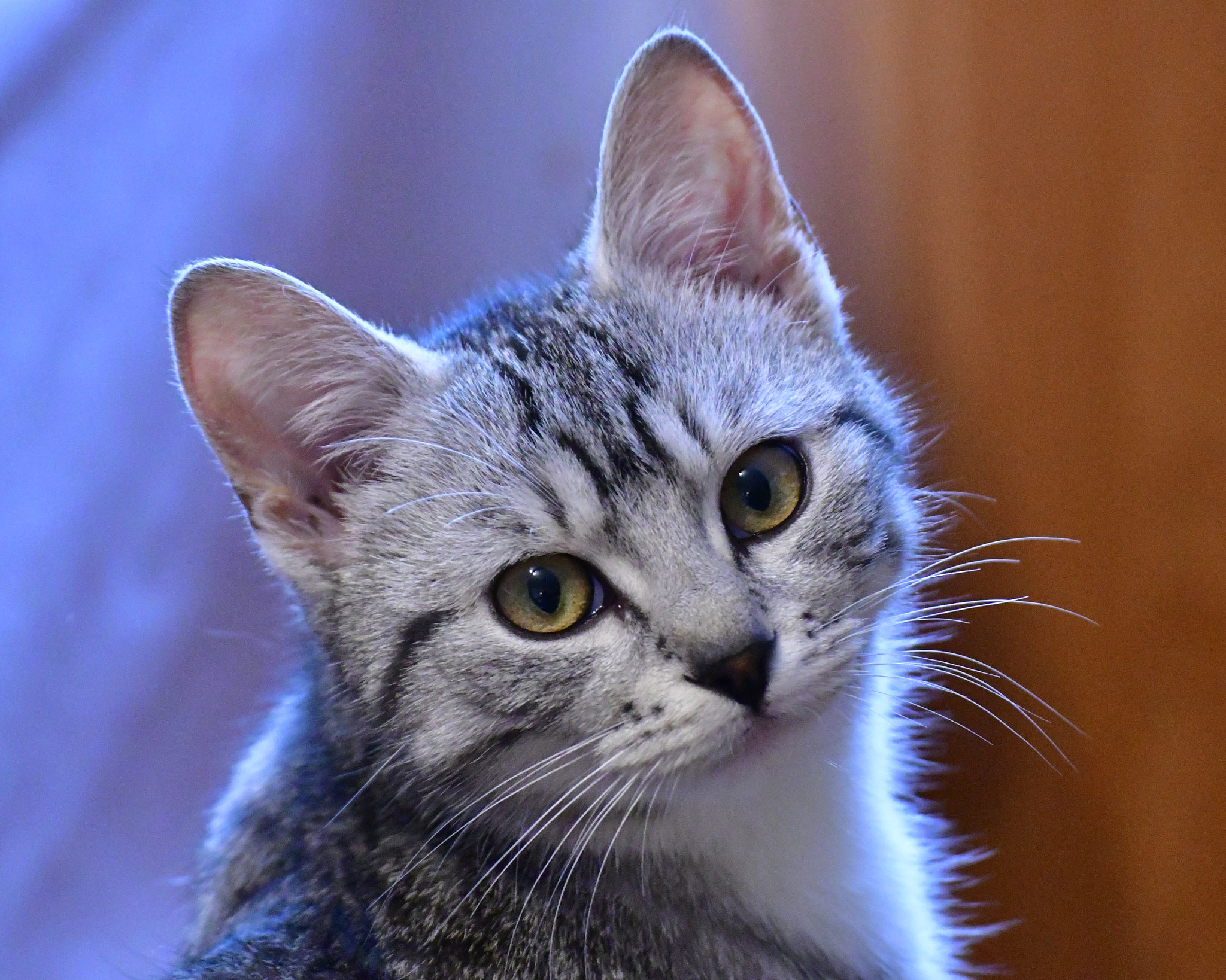 Nikon D7500 sample photo. Dsc photography