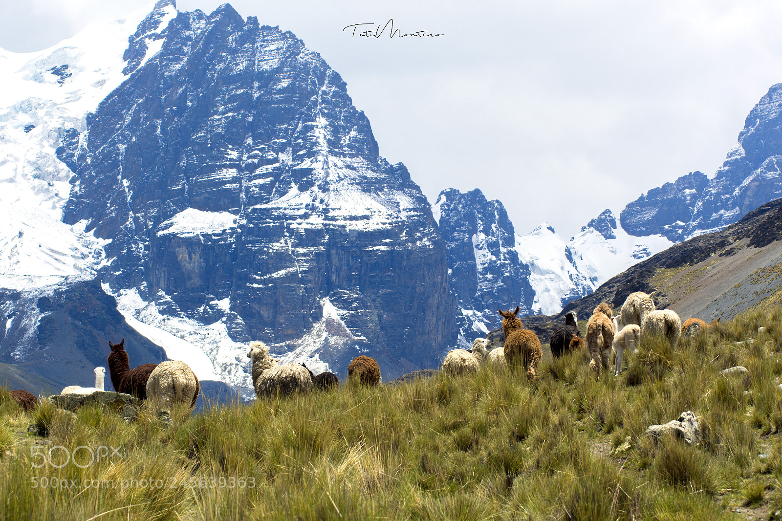 Nikon D7100 sample photo. Hacia el nevado condoriri photography