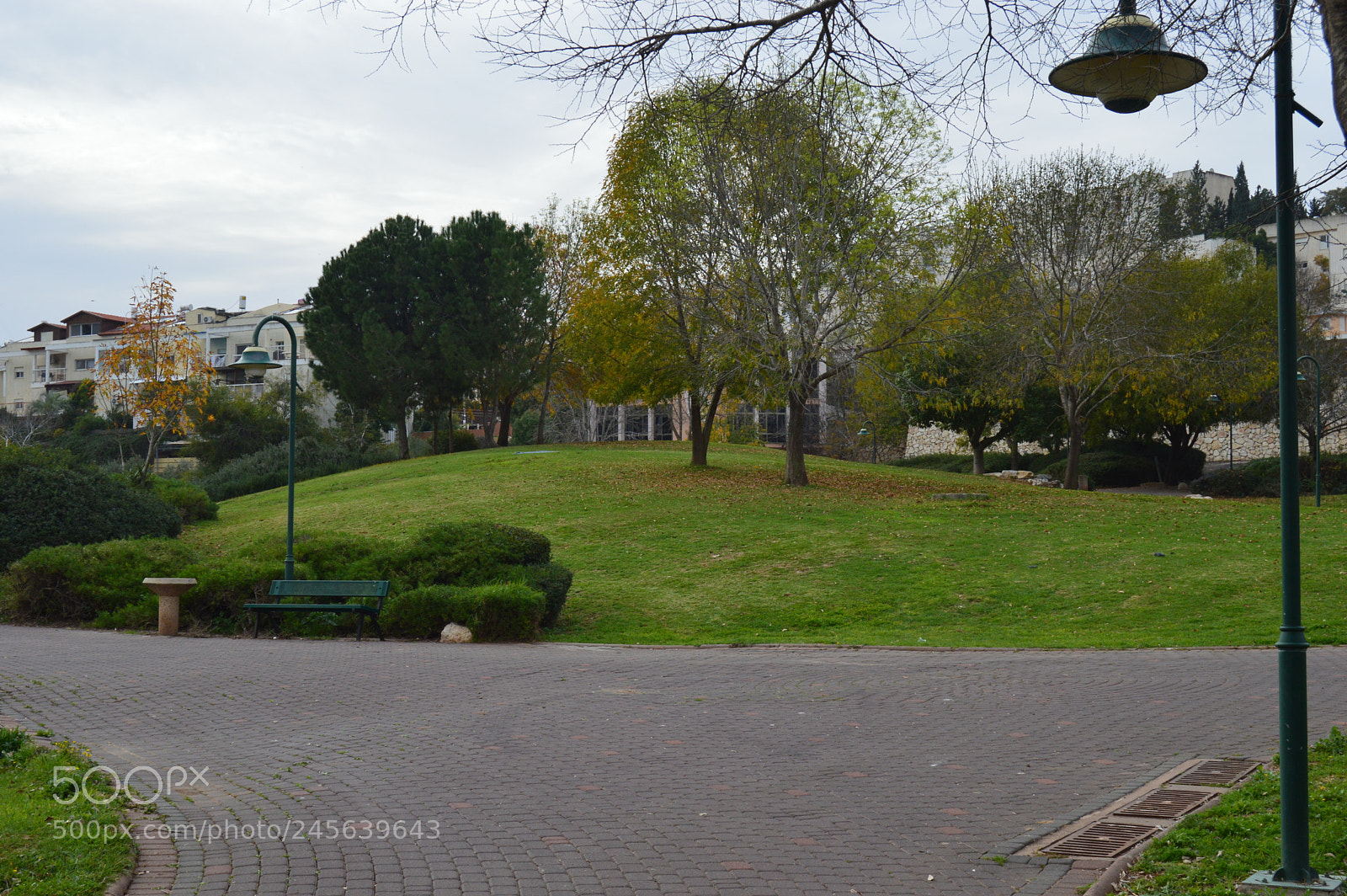 Nikon D3200 sample photo. Dsc photography