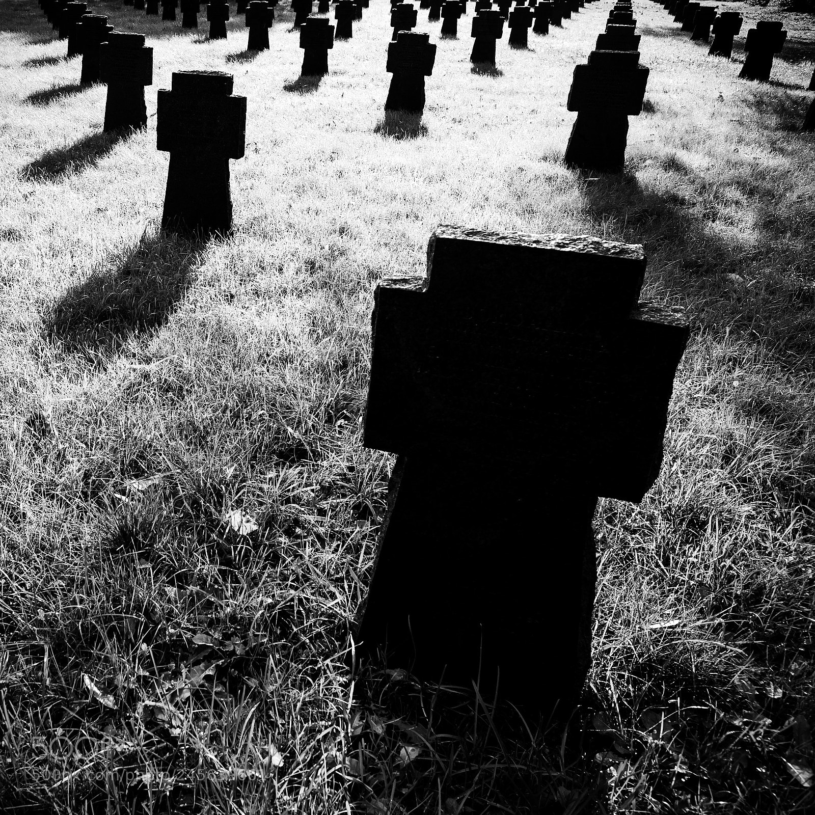 Canon EOS 5D sample photo. Untitled photography