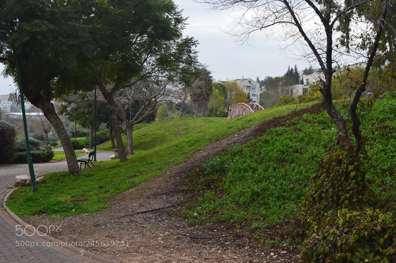 Nikon D3200 sample photo. Dsc photography