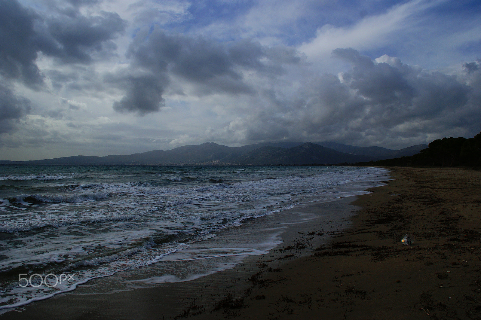 Sony DT 18-200mm F3.5-6.3 sample photo. Cloudy winter day photography