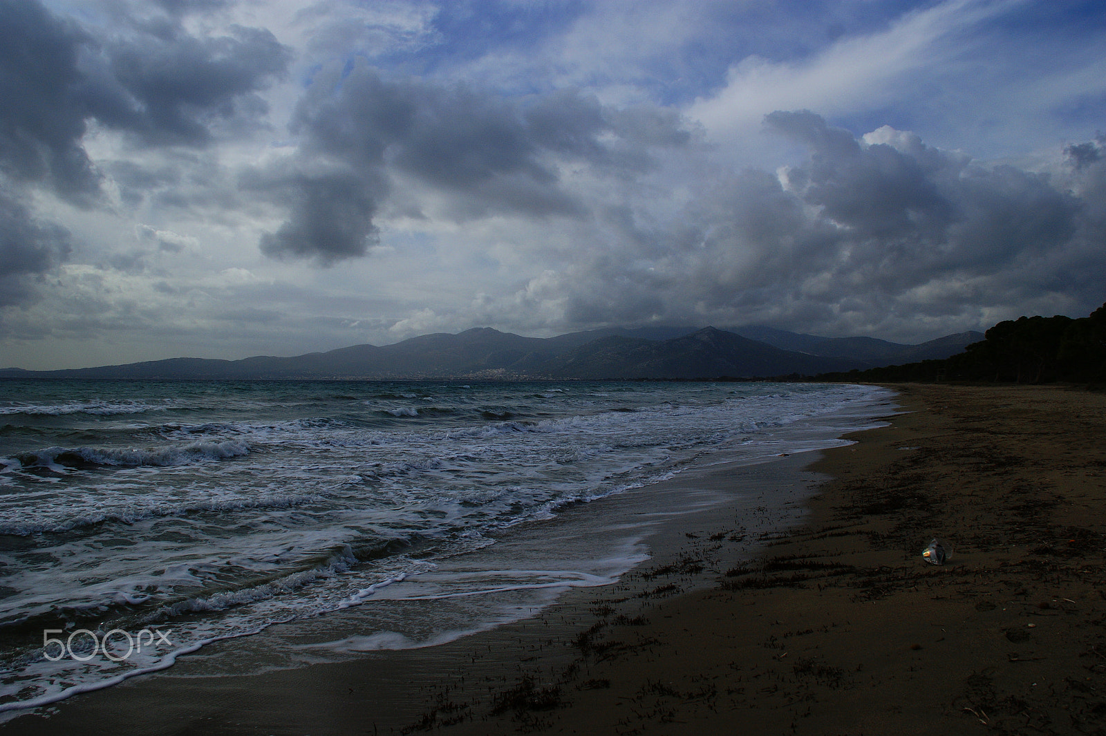 Sony Alpha DSLR-A350 sample photo. Cloudy winter day photography