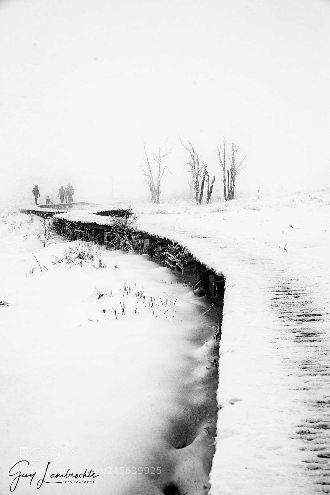Nikon D610 sample photo. Winter scene photography