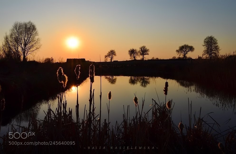 Nikon D5100 sample photo. Winter sunset photography