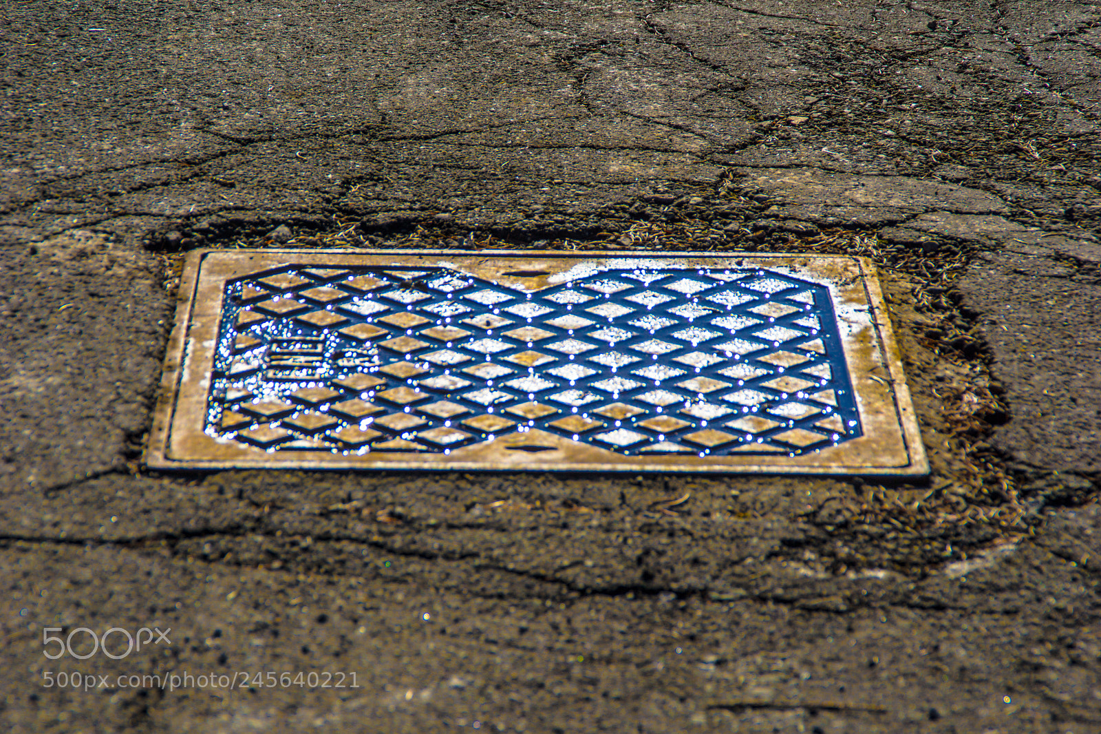 Sony a5100 sample photo. Walking on castione pt5 photography