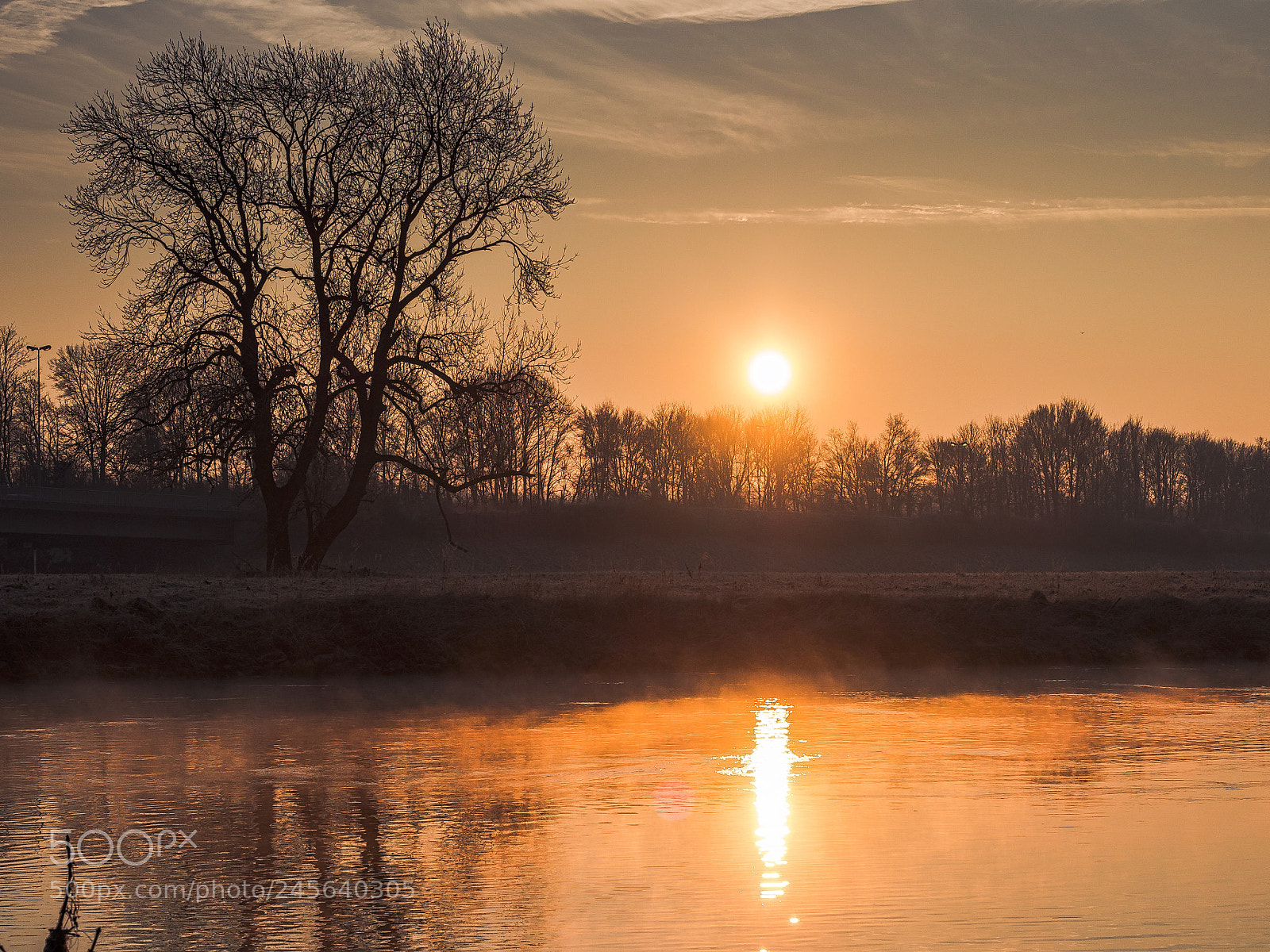 Olympus OM-D E-M1 Mark II sample photo. Riverside sunrise photography