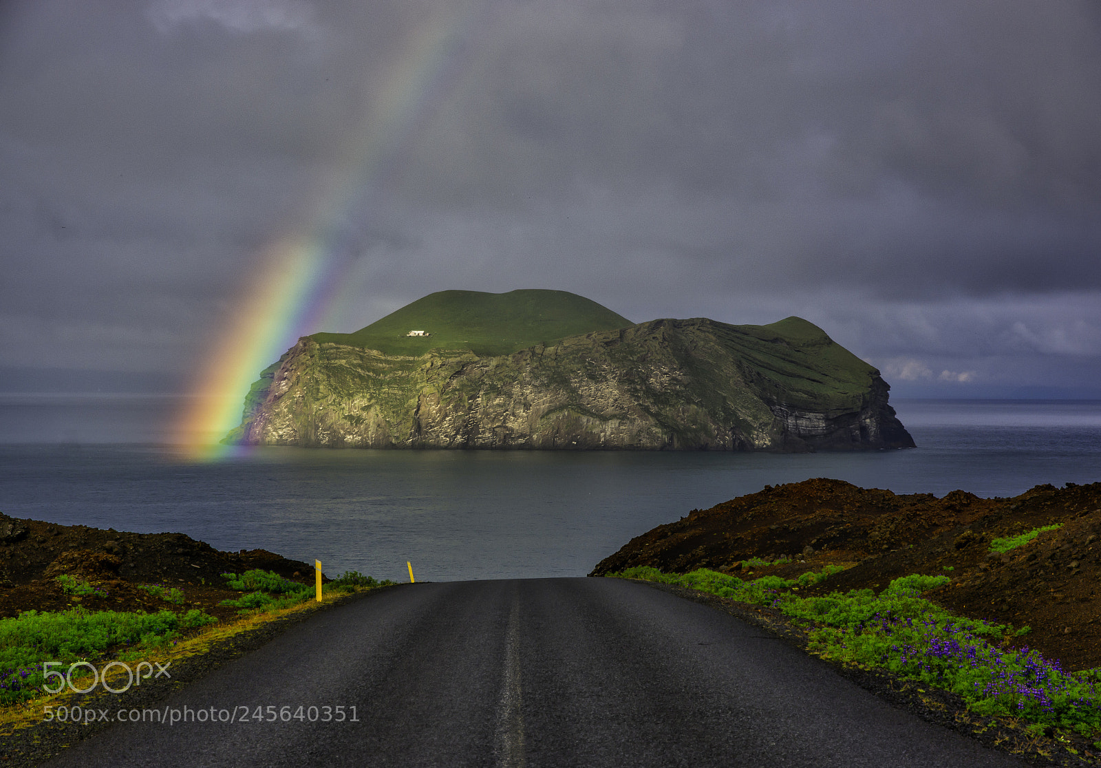 Nikon D7100 sample photo. Rainbow photography