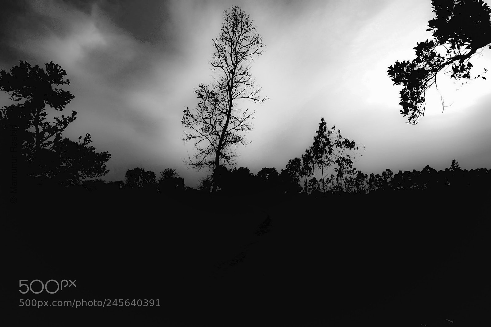 Fujifilm X-T1 sample photo. Untitled photography