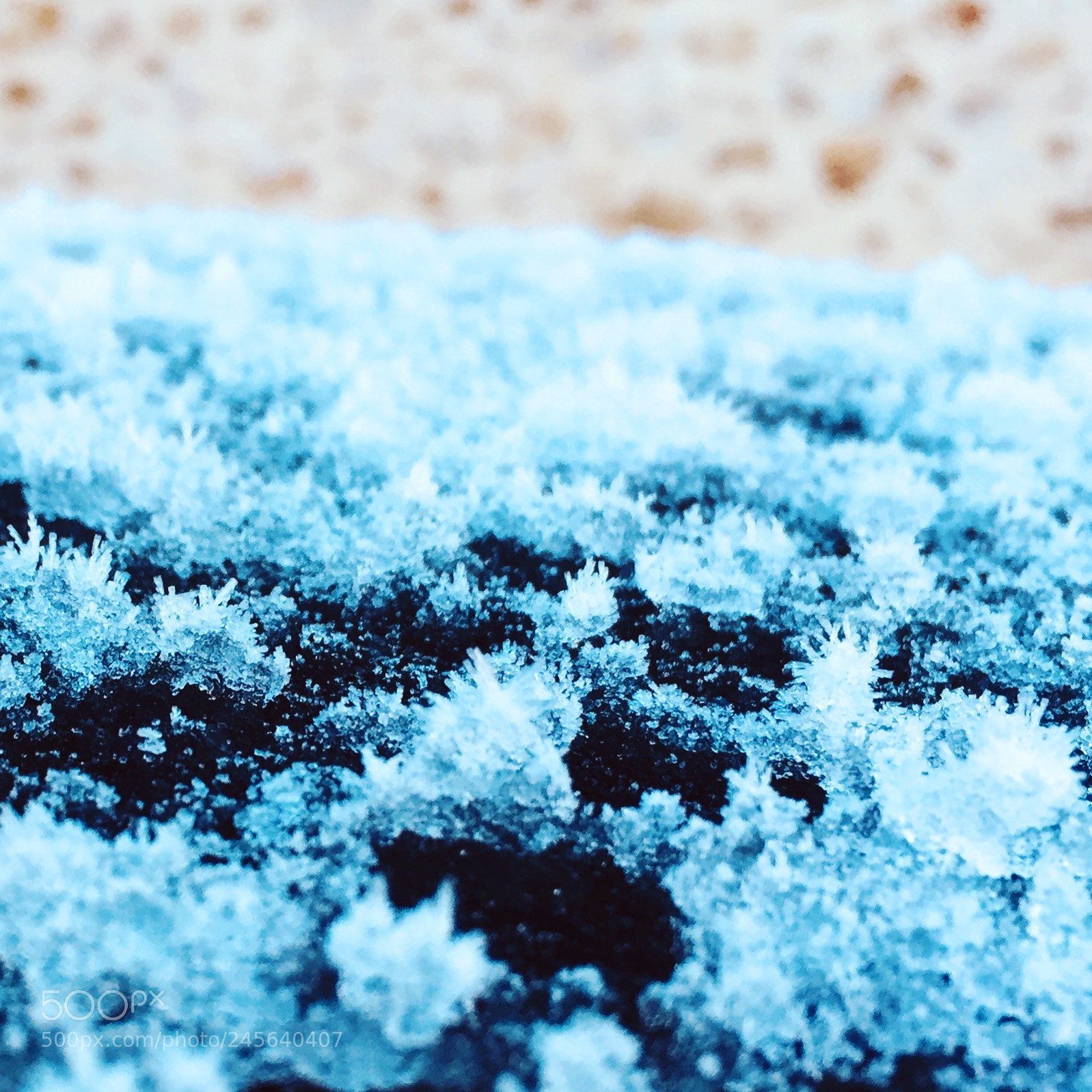 Apple iPhone 6 sample photo. Frost photography