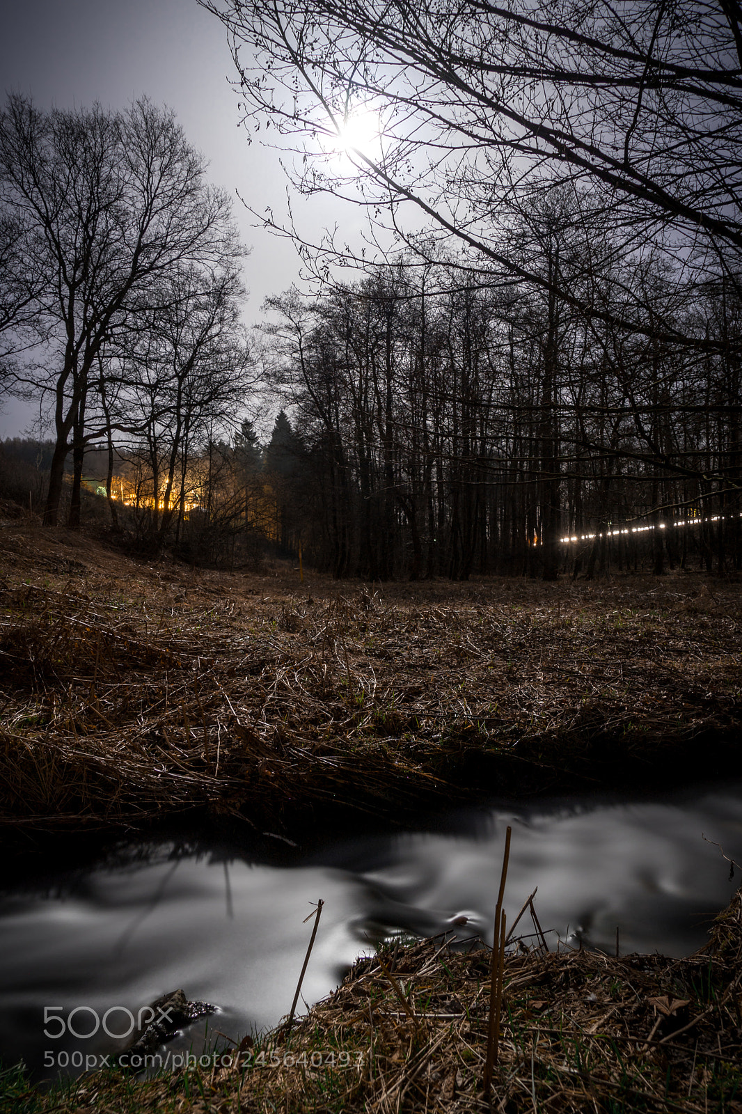 Sony a7 II sample photo. Moonlight photography