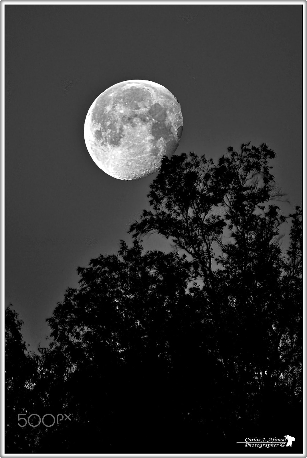 Nikon D90 sample photo. Super luna photography