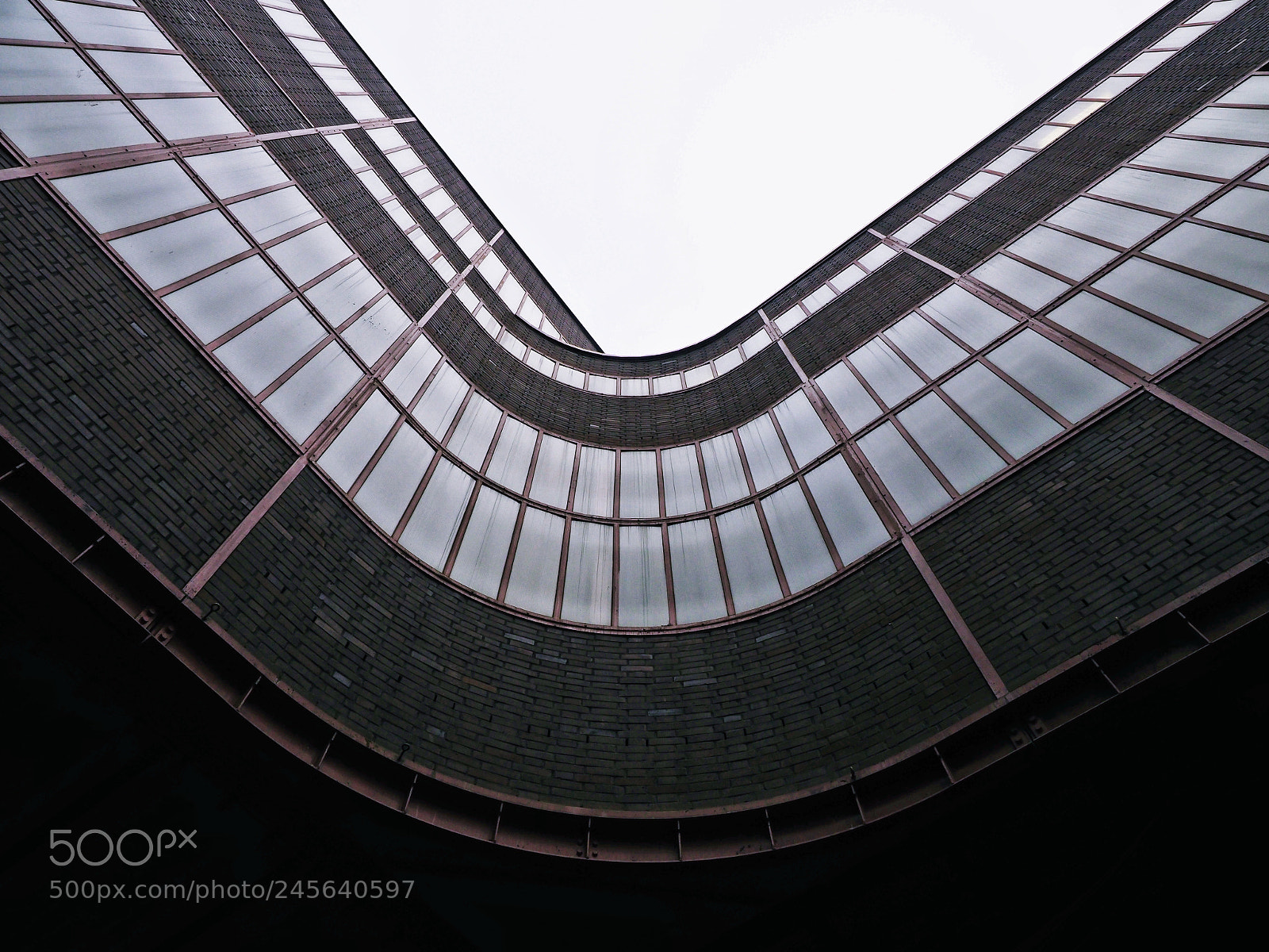 Olympus OM-D E-M1 Mark II sample photo. Upwards photography