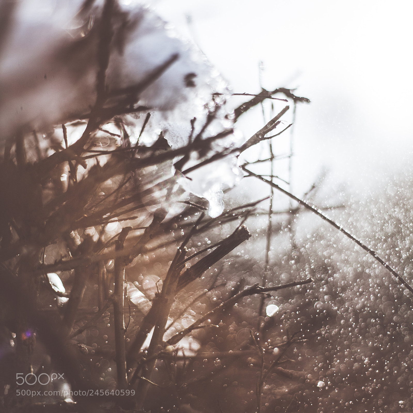 Canon EOS 5D sample photo. Untitled photography