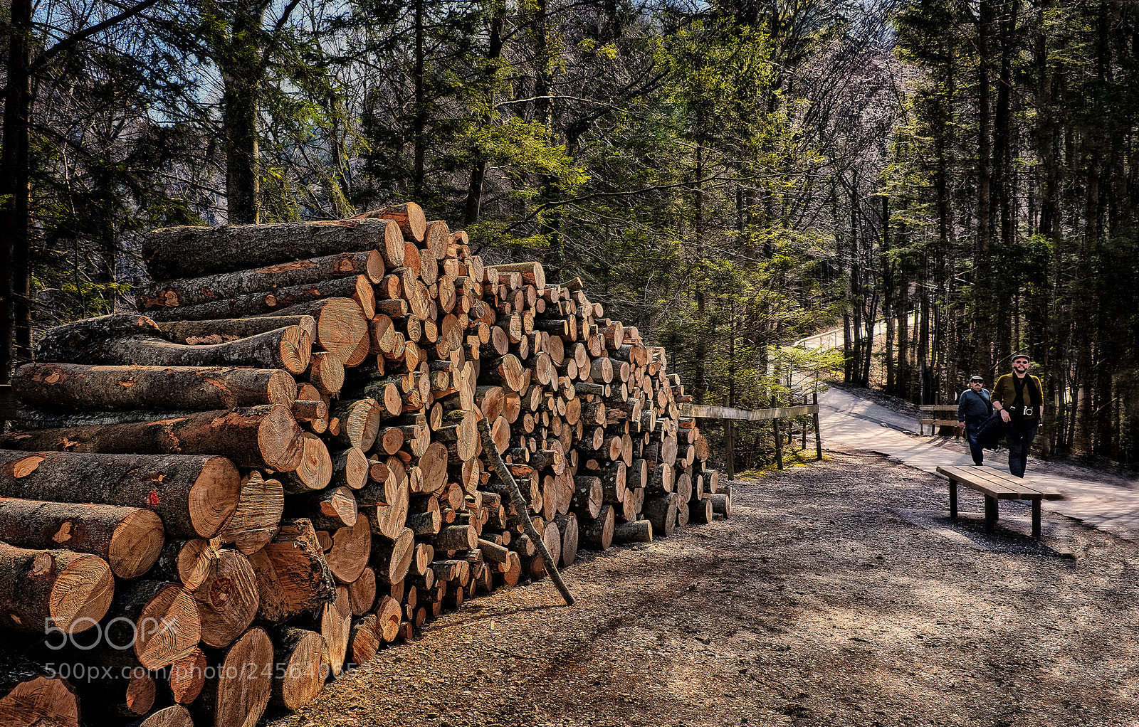 Nikon D5200 sample photo. поленница photography