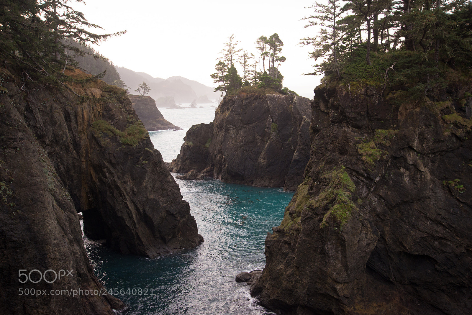 Nikon D610 sample photo. Oregon coast photography