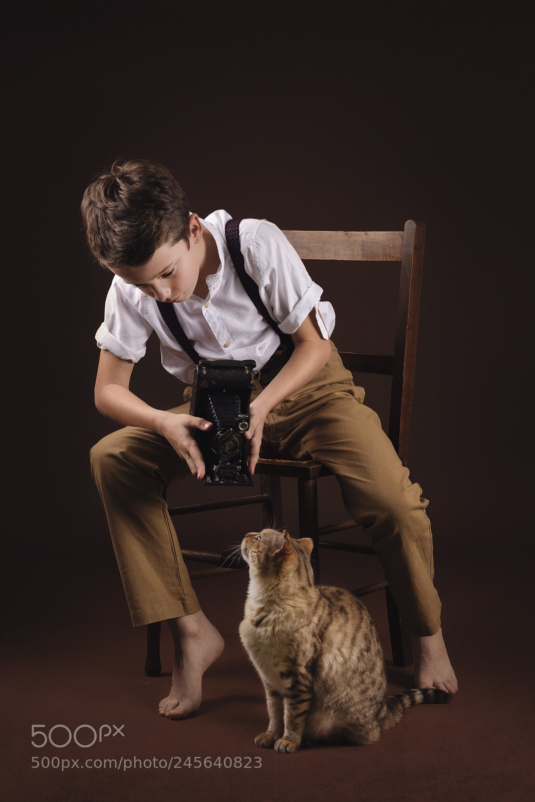 Nikon D810 sample photo. Capturing the cat photography