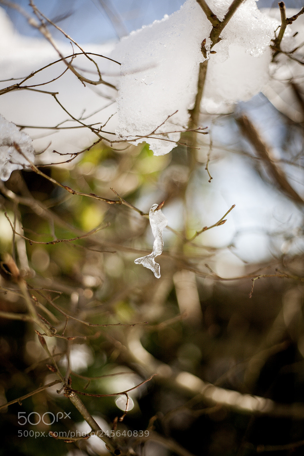 Canon EOS 5D sample photo. Untitled photography