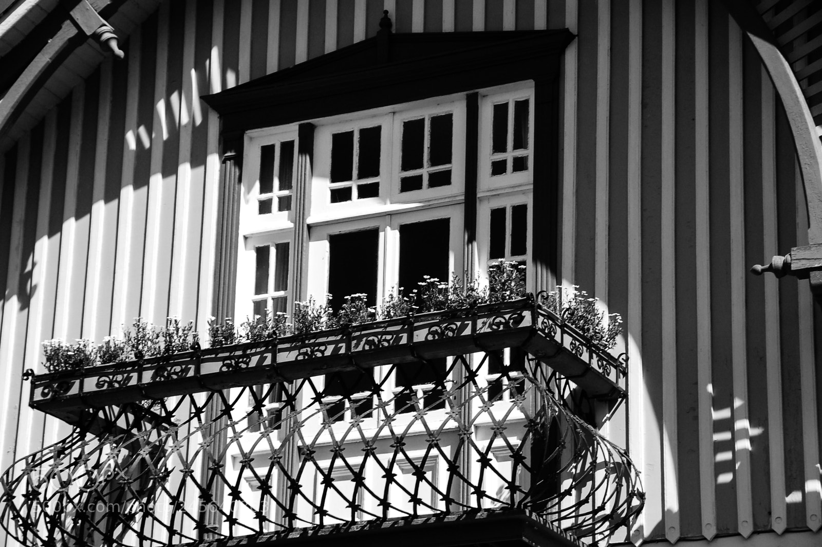 Nikon D50 sample photo. Light, shadows and details... photography
