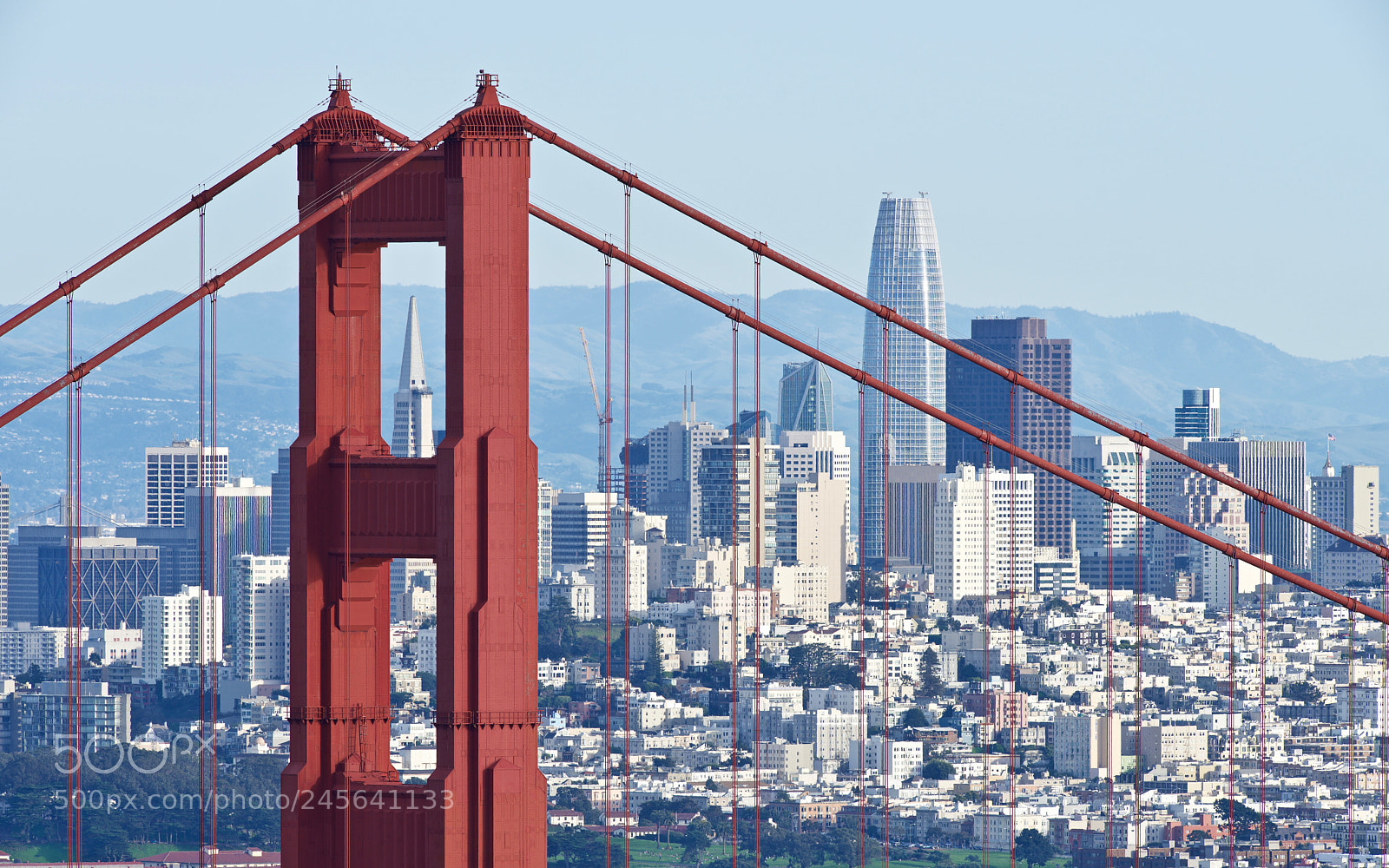 Nikon D810 sample photo. Key to the golden photography