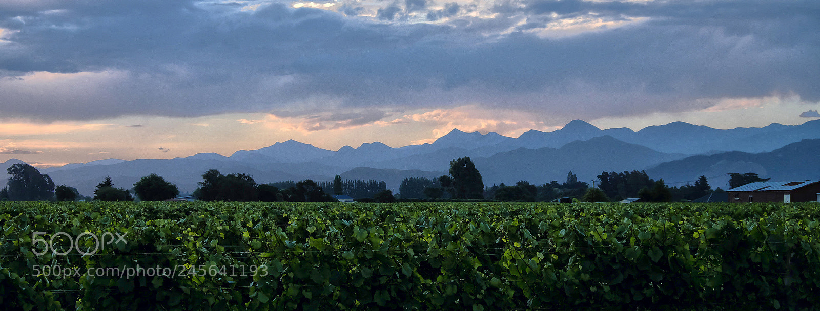 Fujifilm X-T1 sample photo. Marlborough photography