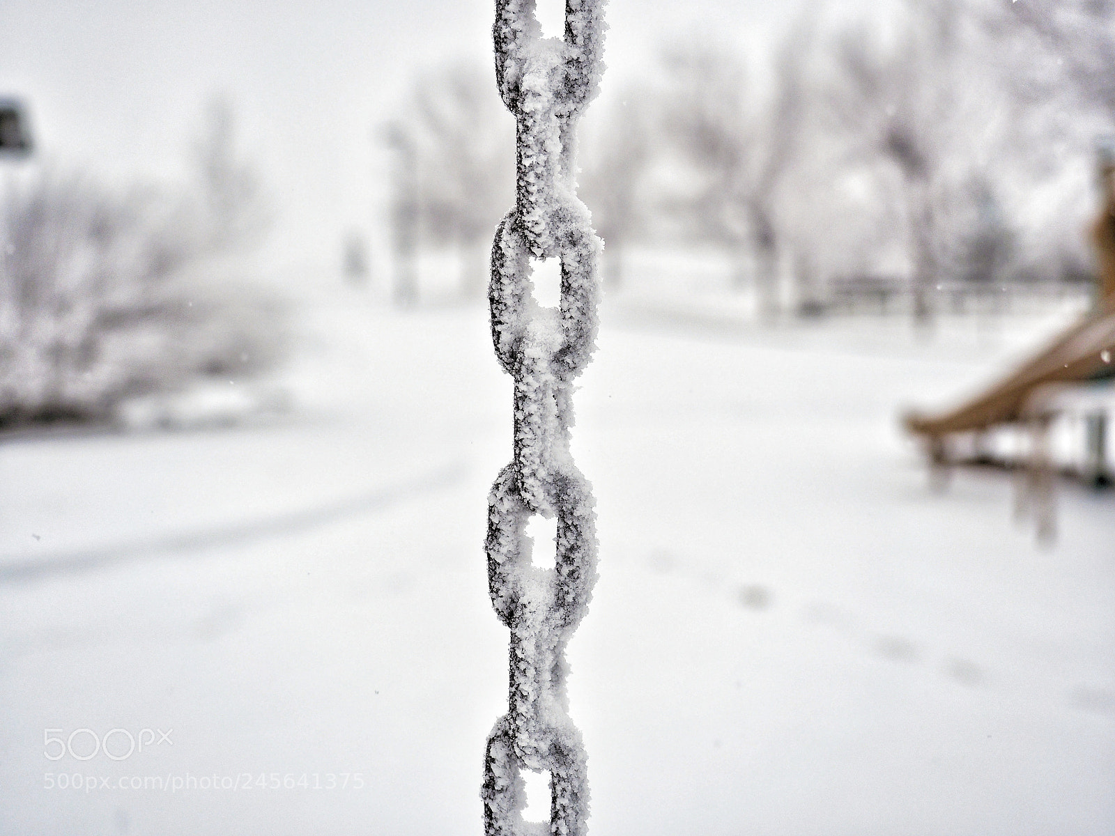 Olympus OM-D E-M10 II sample photo. Very cold and snowy photography