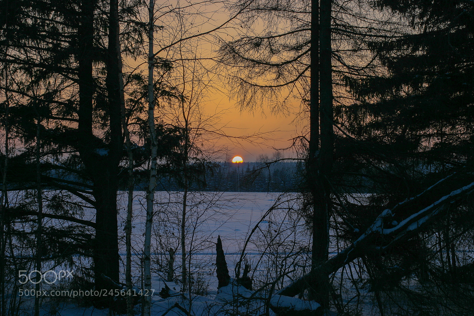 Canon EOS 10D sample photo. Sunset photography