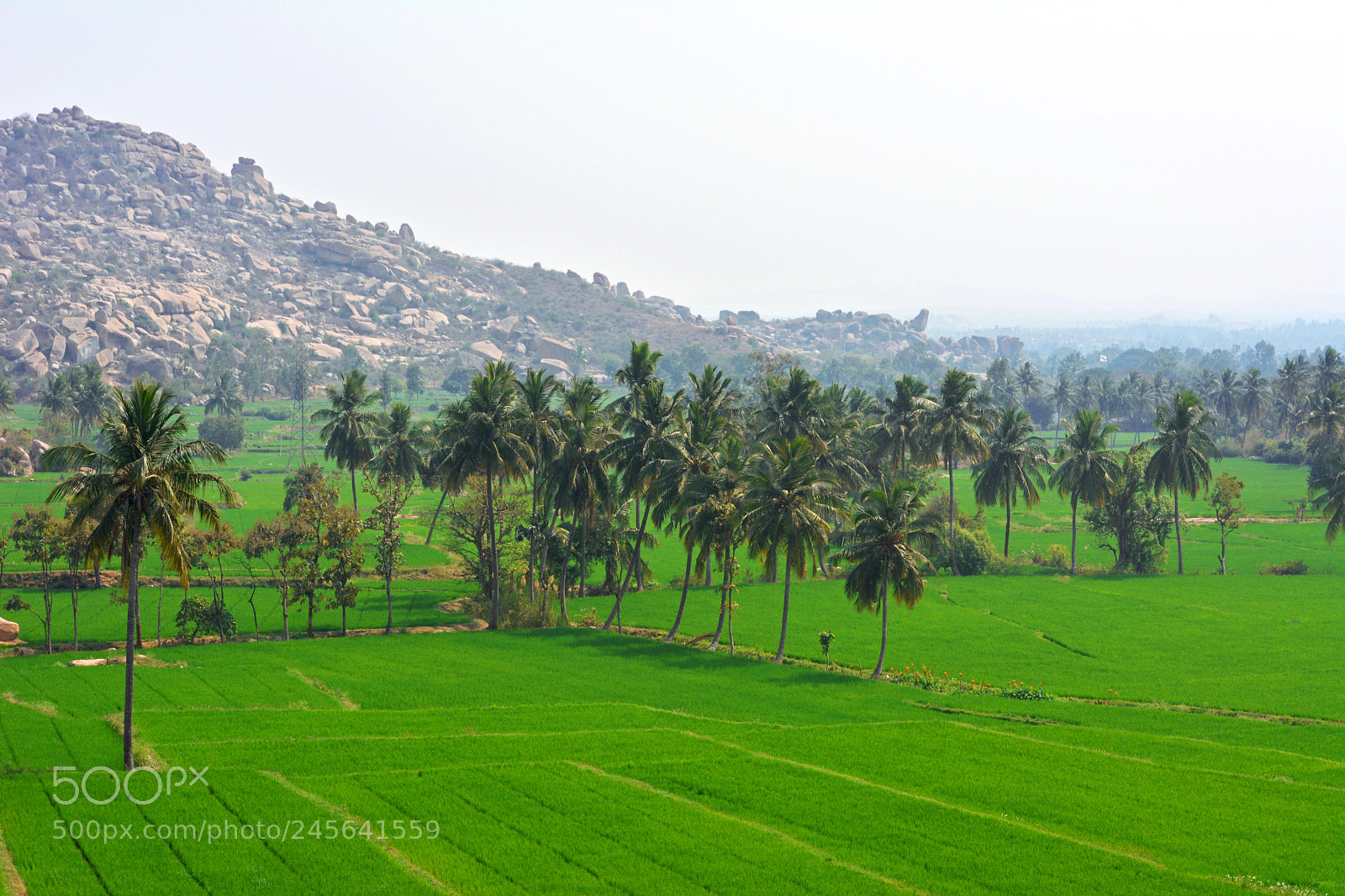 Nikon D5200 sample photo. The lonely planet photography